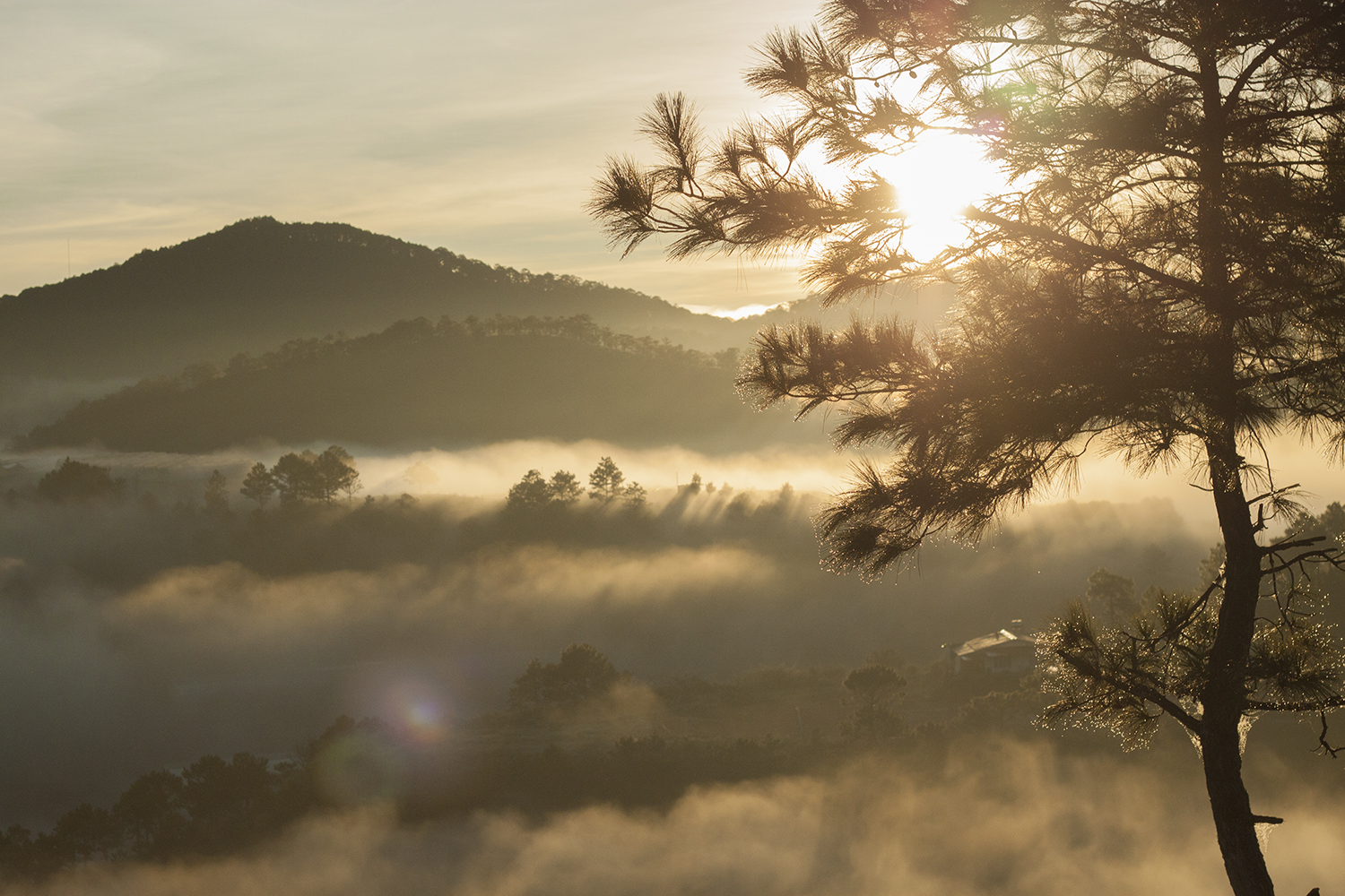 View the sea of clouds floating over Da Lat