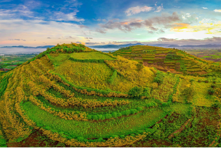 Rice terraces wildflowers R’Chai volcano